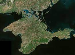 Новые сорта Крымских семечек