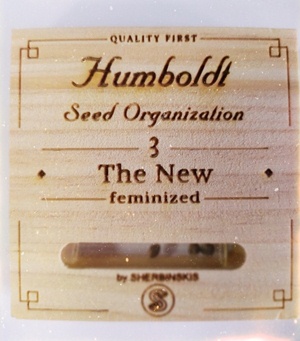 «THE NEW» от Humboldt & Sherbinski 