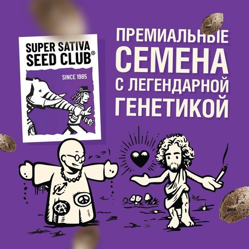 Super Sativa Seed Club