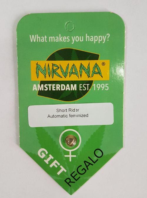 Новый бонус фирменный  "Short Rider Auto"  от  Nirvana