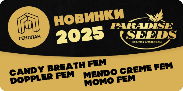 Новые горизонты в 2025 с Paradise Seeds