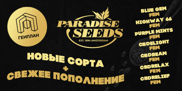 Новые сорта Paradaise Seeds 