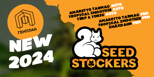 Seeds Stockers 2024
