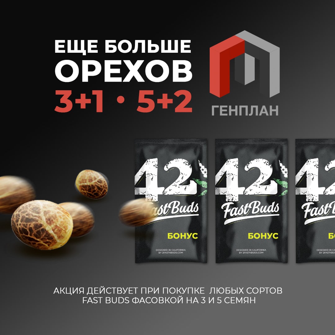 Бонусы от FastBuds