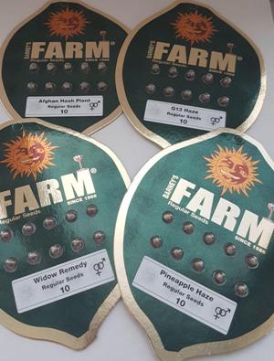 Долгожданные регуляры от Barneys Farm Seeds