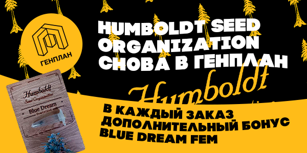 Гумбольты снова в продаже