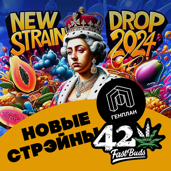 Новые стрэйны Fast Buds -2024