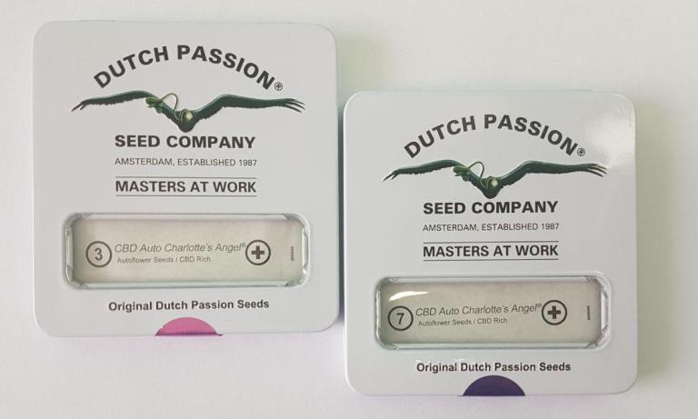 Новый CBD-сорт от Dutch Passion