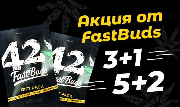 Бонусы от FastBuds 2022