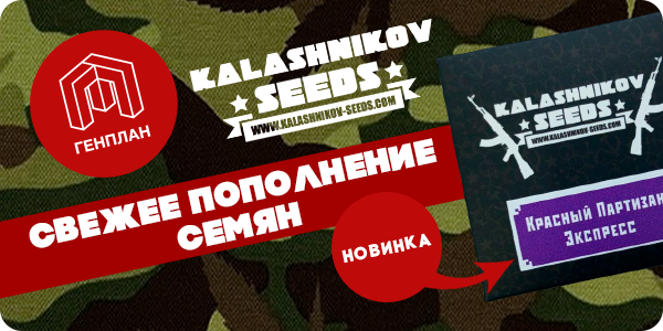 Свежее пополнение и новый сорт!