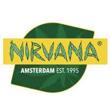 ТОП-5 сортов от NIRVANA