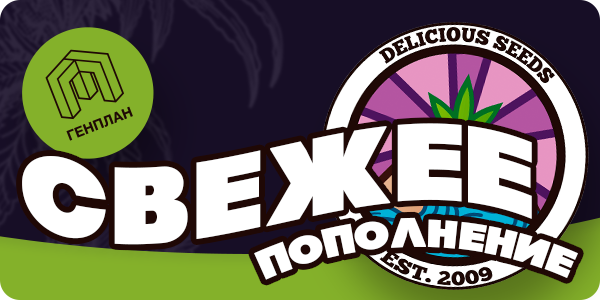 Пополнение и новинки!