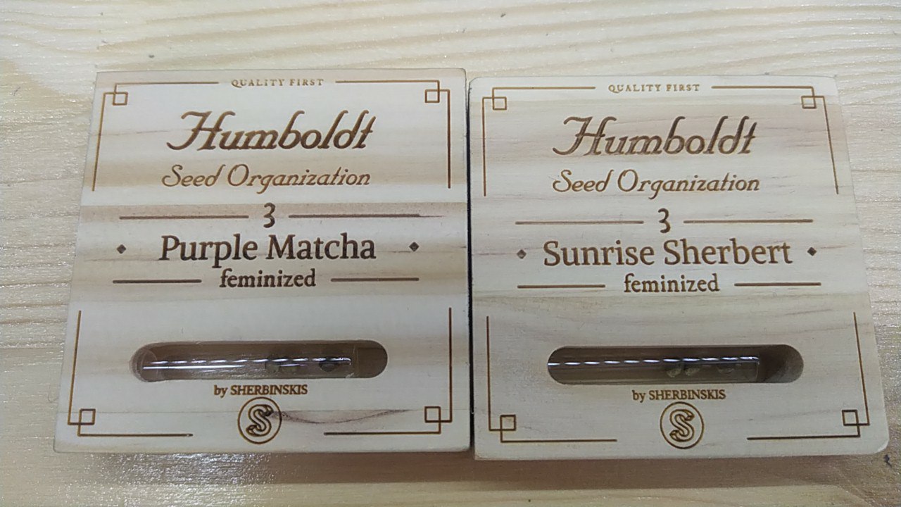 И еще новые сорта от HSO и Щербински приехали!